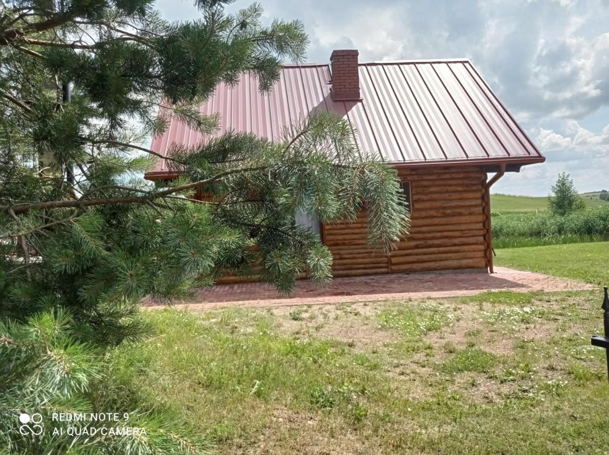 Nad Zabim Stawem Villa Jalowo Екстериор снимка