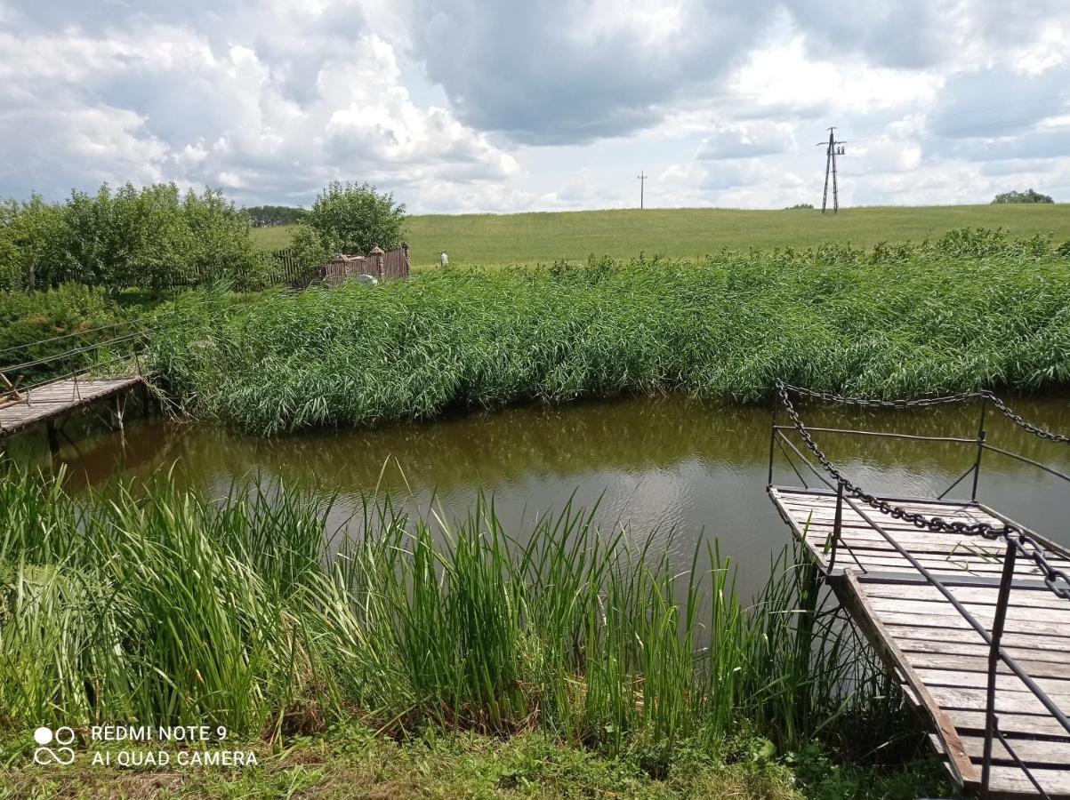 Nad Zabim Stawem Villa Jalowo Екстериор снимка